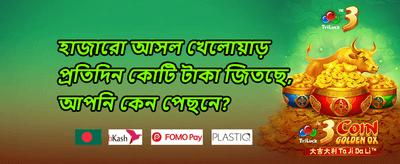 সাপ্তাহিক ভিআইপি ক্যাশব্যাক promotional banner